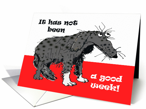 Just to say, it has not been a good week! Sorry Humour,... (804513)