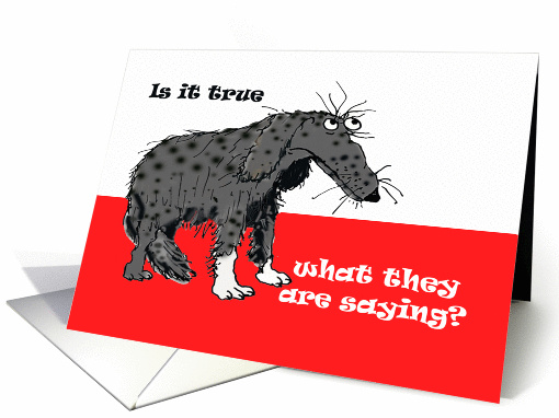 Is it true what they are saying ? Humour, sad grey dog.gossip. card