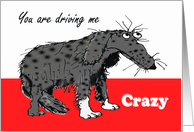 You are driving me CRAZY, Humour, sad grey dog. card