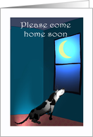 Please Come home soon husband, Lonely dog, and moon in window card