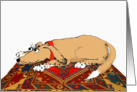 Brown dog on a Persian carpet card