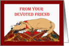 From your devoted friend, brown dog on oriental mat. card