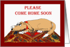 Please come home soon, brown dog on oriental mat.humour card