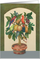 Get well soon,velvet painting of tree, parrots, fruit, and birds card