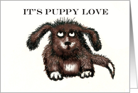 Puppy Love, brown shaggy dog.humor card