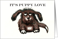 Puppy Love, thank you dog walker/petsitter, brown shaggy dog.humor card