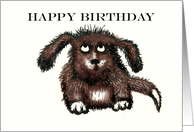 Happy Birthday ,for petsitter, brown shaggy dog.humor card