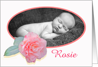 Pink striped camellia,new baby, photo frame. card