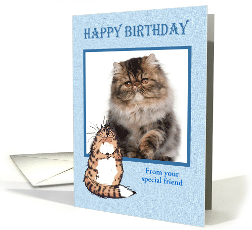Happy Birthday to dog from cat, photo frame, card (852595)