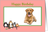 Happy Birthday, pink frame, custom frame, cats, for pet card
