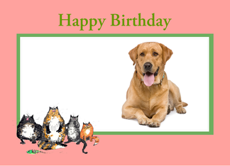 Happy Birthday, pink frame, custom frame, cats, for pet