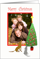 Merry Christmas, dogs and christmas tree.from our house to yours, photo frame. card