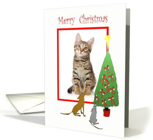 Merry Christmas, dogs and christmas tree.from pet, photo frame. card