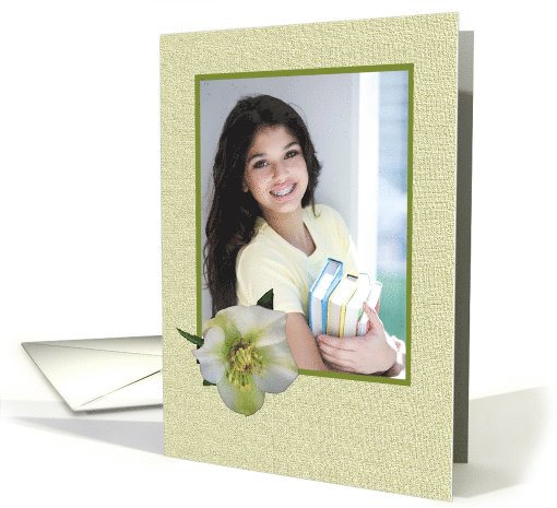 Hellebore flower, photo card. card (855131)