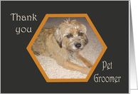 Thank you pet groomer, Border terrier. card