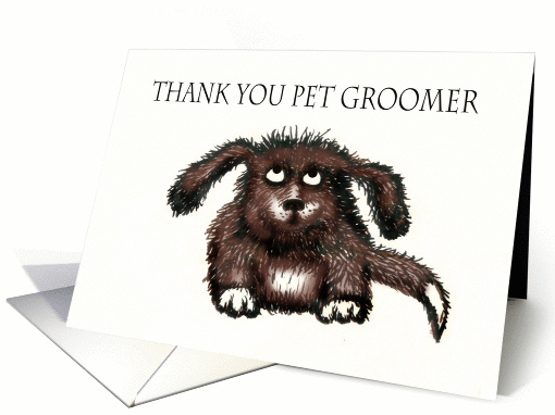 Thank you pet groomer, Shaggy Dog card (859275)