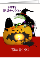 Happy Halloween, Witch with cat, spider, pumpkin,Trick or treat card