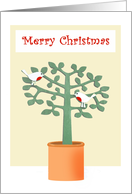 Merry Christmas, two birds in a tree. card