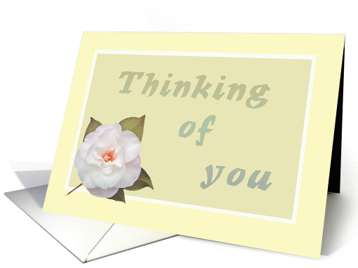 Thinking of you, white camelia card (865089)