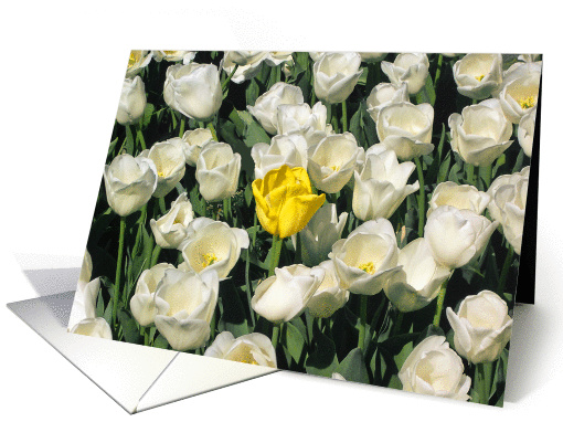 One in a million,best friend, white tulips and one yellow. card