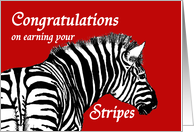 Congratulations on earning your stripes,Promotion, Zebra card