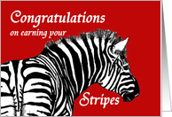 Congratulations on earning your stripes, Military promotion, Zebra card