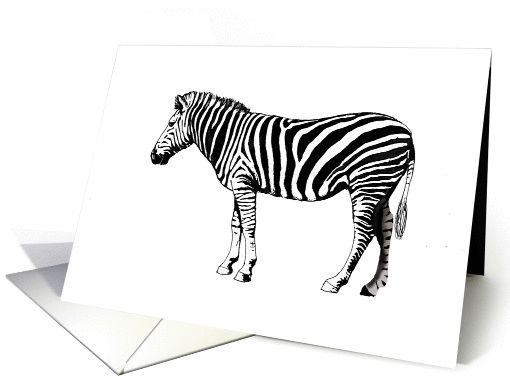 Zebra, card (871592)