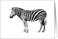 Zebra, card