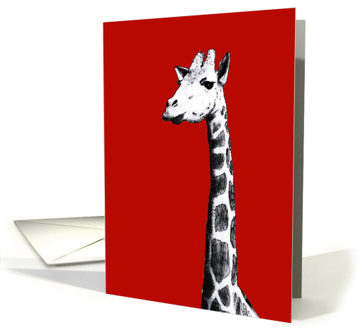 Black and white drawing of giraffe, card (871605)