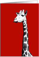 Black and white drawing of giraffe, card