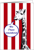 Black and white drawing of giraffe,Happy anniversary. card