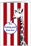 Black and white drawing of giraffe,It’s looking good from here, encouragement card