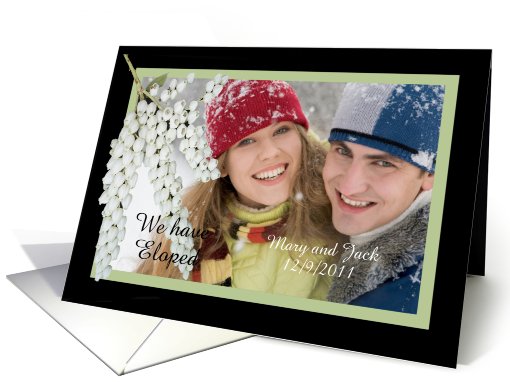 We have Eloped, Pieris flowers, custom photo frame. card (874379)
