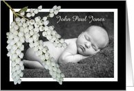 New baby, Pieris flowers, custom photo frame. card