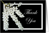 Thank you, Pieris flowers. card