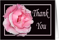 Thank you for help and support, Pink rose card