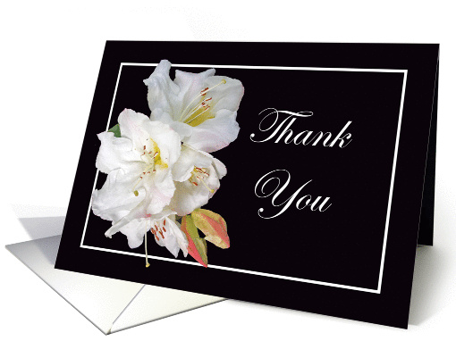 Thank you, white Rhododendron. card (875784)