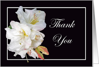 Thank you,for being my bridesmaid, white Rhododendron. card