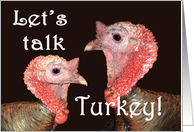 two turkey gobblers. Let’s talk turkey, humor card