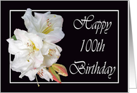 Happy 100th Birthday, white rhododendron card