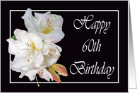Happy 60th Birthday, white rhododendron card