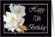 Happy 70th Birthday, white rhododendron card