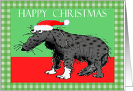 Happy Christmas,sad dog, humor card