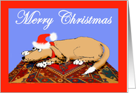 Merry Christmas, Brown dog on oriental mat. humor card