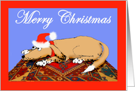 Merry Christmas,for daughter,Brown dog on oriental mat. humor card