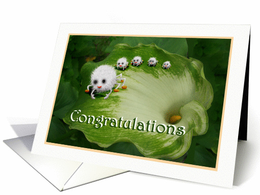 Congratulations, new baby, spiders, humor. card (897618)