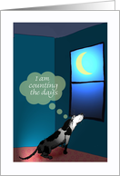 Missing you,sad dog and moon.for boyfriend card