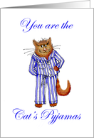 Friendship You are The cat’s pyjamas. ginger Cat, funny UK/Australian spelling card