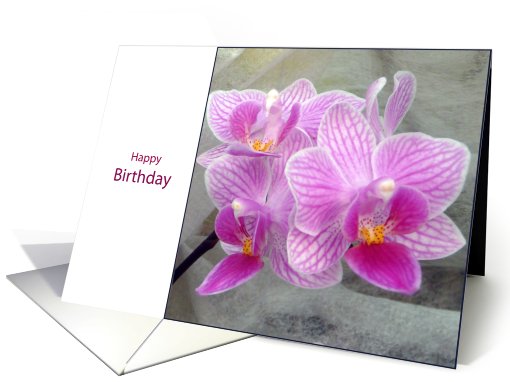 happy birthday pink orchid flower card (609506)