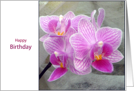 happy birthday pink orchid flower card